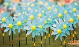 风车花在线观看,浪漫邂逅，风起云涌的青春旋律